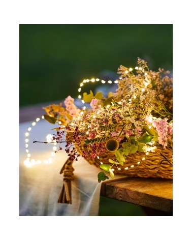 Guirlande lumineuse Lilly 300 leds 4m Fil Or